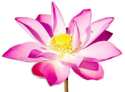 Ananda Sangha Bangalore- Kriya Yoga Meditation Centre