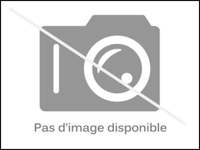 Claquettes Swing Dance Rythme Et Mouvement