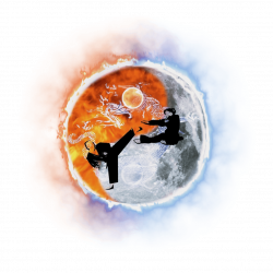 USJAKungfu