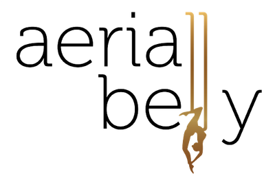 AerialBelly Studio AerialBelly Studio