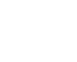 Trans Wales Trails Horse Riding