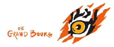 Tigres de Grand Bourg, club de Viet Vo Dao en Esssonne