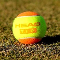 FPTA Tennis