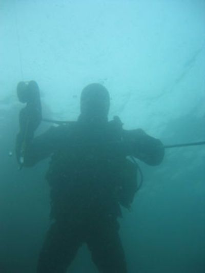Bristol Diving Club