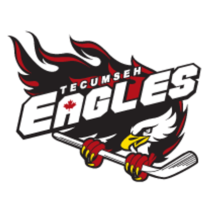 Tecumseh Minor Hockey