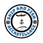 Ship And Fish, Permis Bateau, Sortie En Mer, Attelier Ship And Fish, Permis Bateau, Sortie En Mer, Attelier