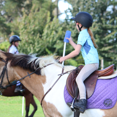 Phillips Equine