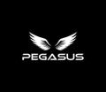 Pegasus Gym Pegasus Gym