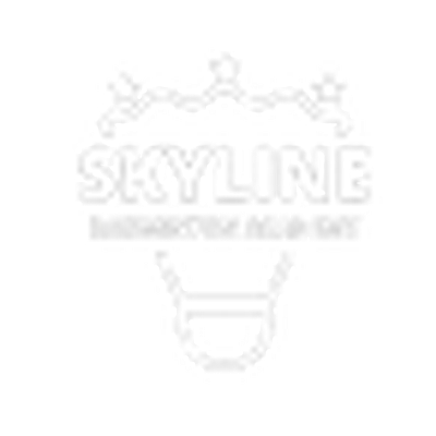 Skyline Badminton Academy Skyline Badminton Academy