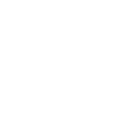 U D S I S