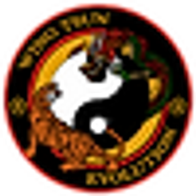 Wing Tsun Evolution