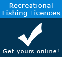 Go-fish-charters.com