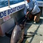 Broadside Boat Charter