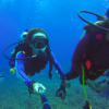 Scuba Diving in Malvan - Water Sports in Malvan - Malvan Explorer