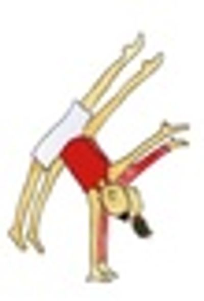 Bristol School of Gymnastics