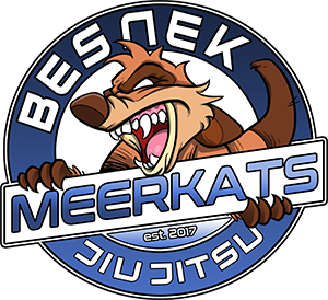 Besnek Jiu Jitsu