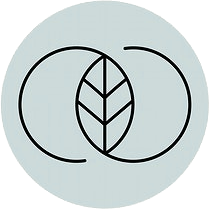 Bodhi yoga and therapy Centre