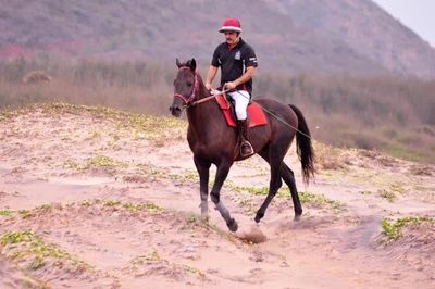 Flying Sea Stallion HORSE RIDING SCHOOL