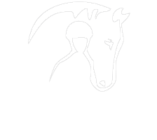 Pause Awhile Equestrian Centre