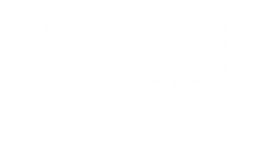 Tinoschool