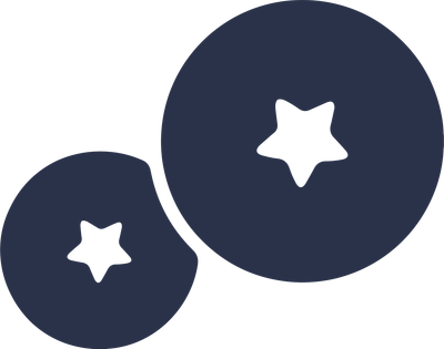 BlueberryNZ