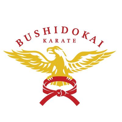 Bushidokai International - Headquarters to a Mixed Martial Arts program for all ages and fitness levels