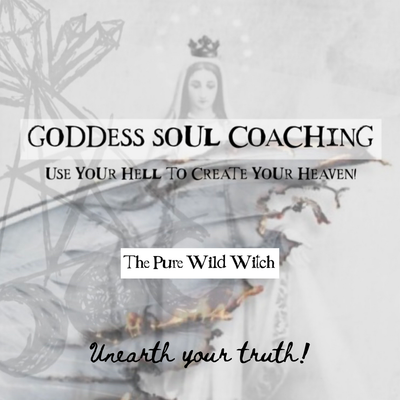 The Pure Wild Witch