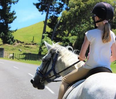 Te Horo Equestrian Centre