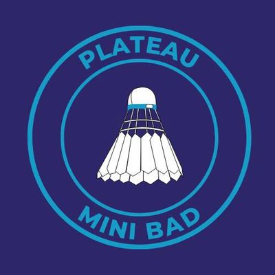 Ligue Hauts de France Badminton
