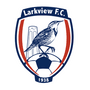 Larkview FC