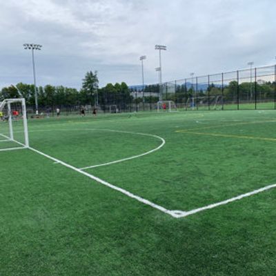 UBC Mini Field UBC Mini Field
