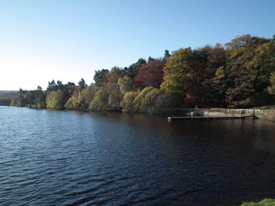 Lockwood Beck Coarse Fishery