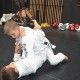 Bujutsu Martial Arts Picton