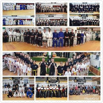 Golden Tiger Academy