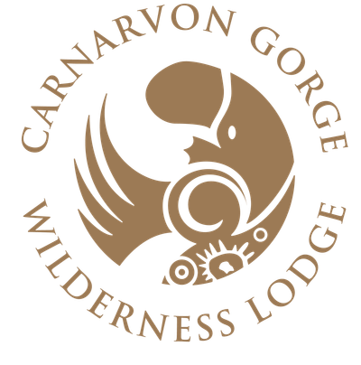 Carnarvon Gorge Wilderness Lodge