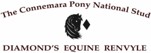 Diamonds Equine Renvyle - The Connemara Pony National Stud Diamonds Equine Renvyle - The Connemara Pony National Stud