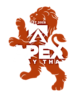 Apex Muay Thai