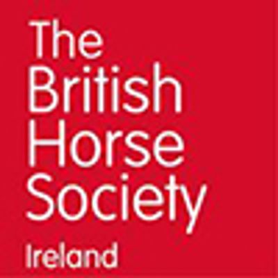 Brennanstown Riding School Brennanstown Riding School