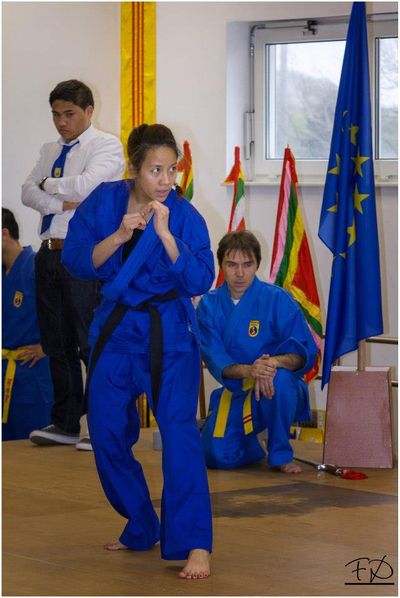 Tam Vo Dao School Of Vovinam Viêt Vo Dao Paris