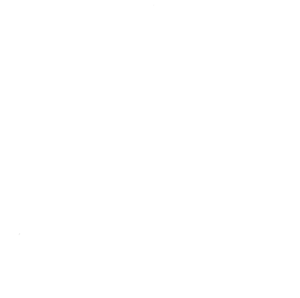 Base Jiu-Jitsu