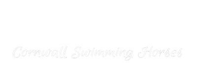 Cornwall Swimming Horses