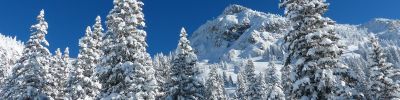 Ski School Chalmazel Ski School Chalmazel