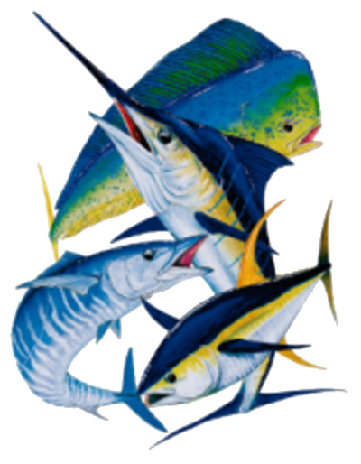 Newport Game Fish Club