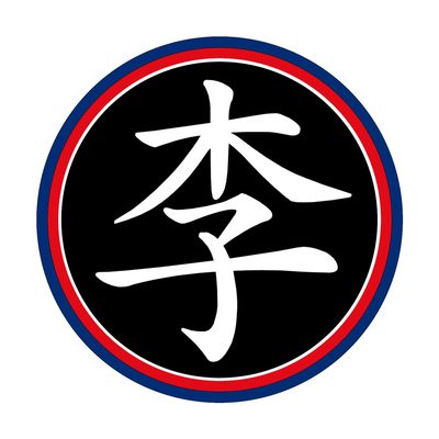 Lee's Taekwondo Academy - Parafield Gardens