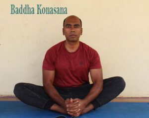 Personal Fitness Trainer - Acupuncturist Personal Fitness Trainer - Acupuncturist