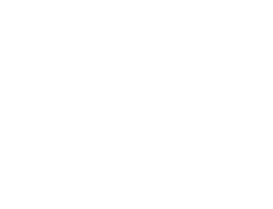 Waves Surf School