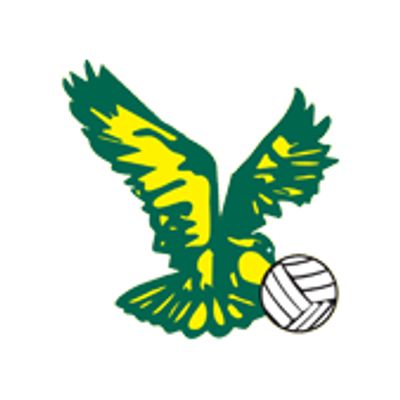 Goldeagles Netball Club