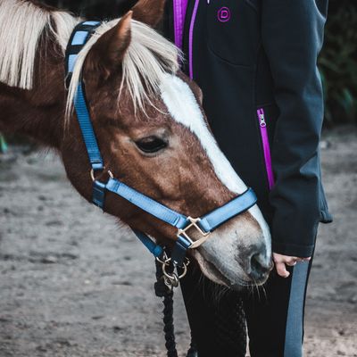 Para-Equestrian