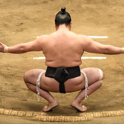 Sumo