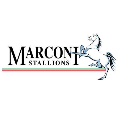 Marconi Stallions FC